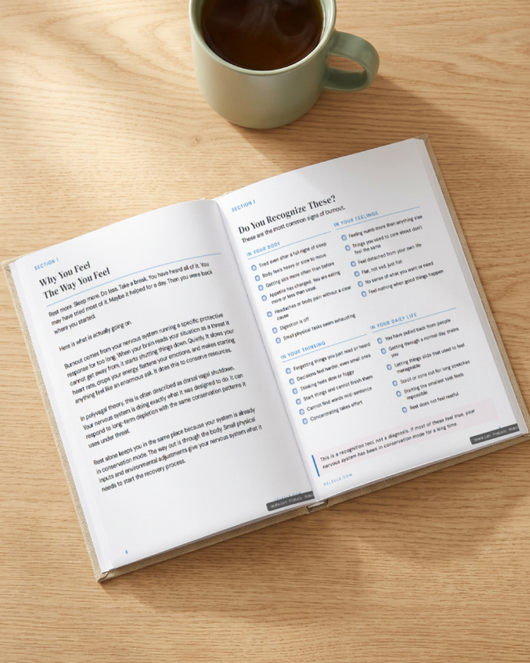 Burned Out Workbook | Nervous System Recovery